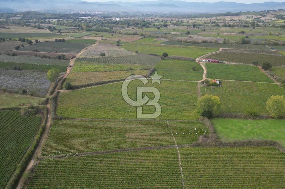 Çanakkale Yenice Hamdibey Köyünde 4.100 M² Satılık Tarla !