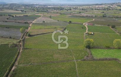 Çanakkale Yenice Hamdibey Köyünde 4.100 M² Satılık Tarla !