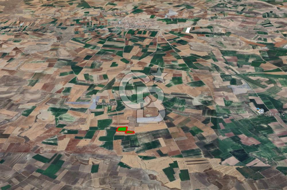 YUKARITANDIR’DA ELEKTRİK VE SUYU HAZIR 16.900 M² TARLA
