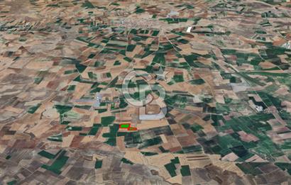 YUKARITANDIR’DA ELEKTRİK VE SUYU HAZIR 16.900 M² TARLA