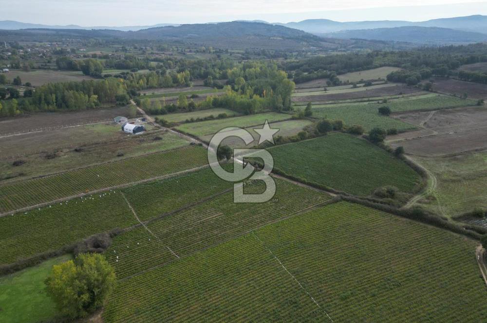 Çanakkale Yenice Hamdibey Köyünde 4.100 M² Satılık Tarla !