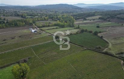 Çanakkale Yenice Hamdibey Köyünde 4.100 M² Satılık Tarla !