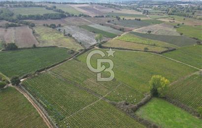 Çanakkale Yenice Hamdibey Köyünde 4.100 M² Satılık Tarla !