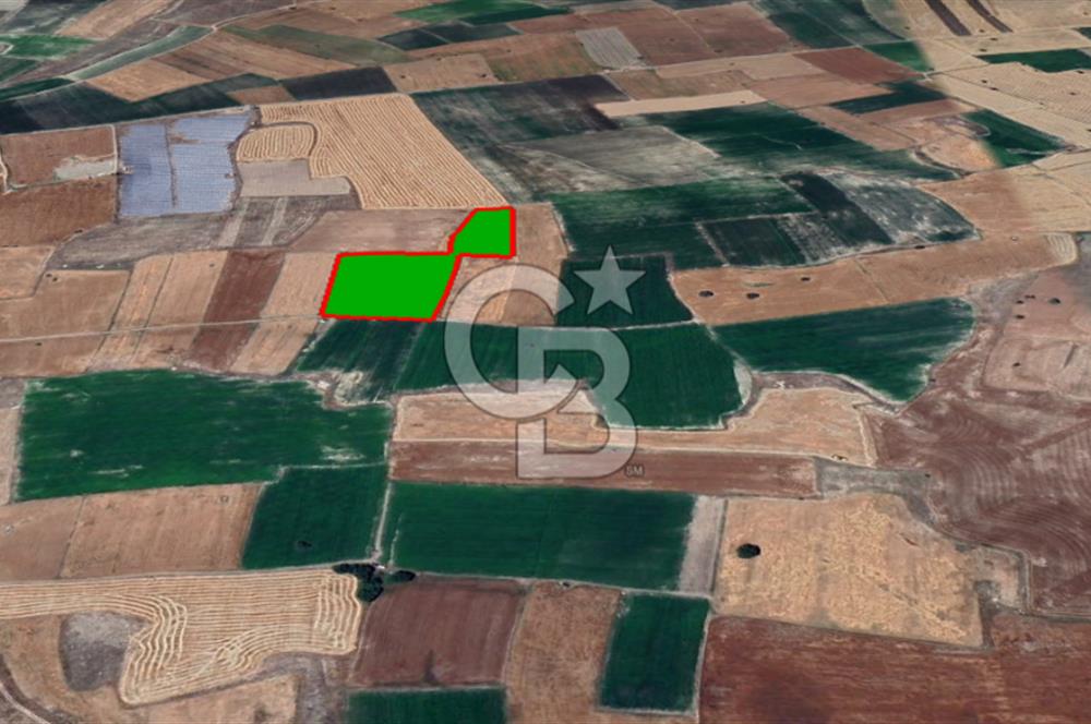YUKARITANDIR’DA ELEKTRİK VE SUYU HAZIR 16.900 M² TARLA