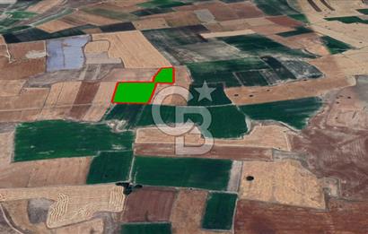 YUKARITANDIR’DA ELEKTRİK VE SUYU HAZIR 16.900 M² TARLA