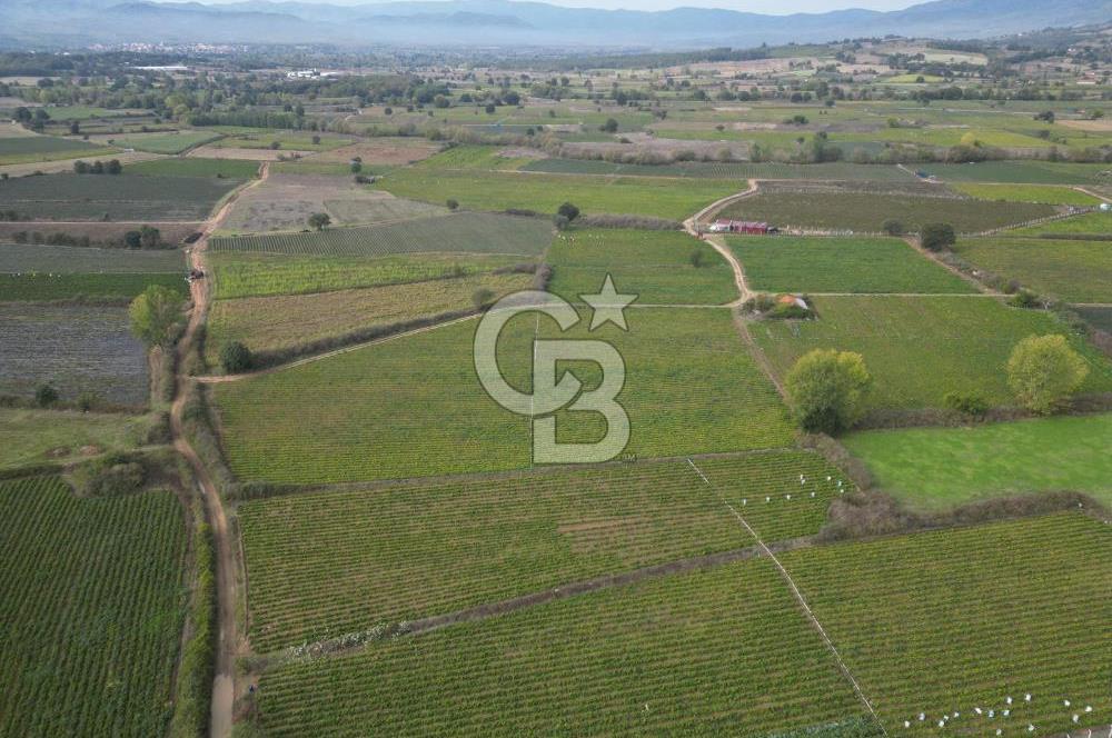 Çanakkale Yenice Hamdibey Köyünde 4.100 M² Satılık Tarla !