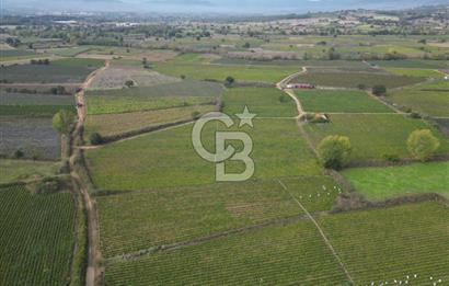 Çanakkale Yenice Hamdibey Köyünde 4.100 M² Satılık Tarla !