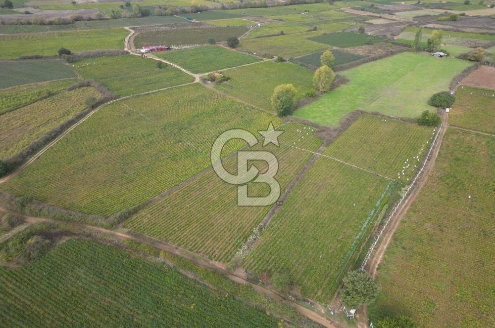 Çanakkale Yenice Hamdibey Köyünde 4.100 M² Satılık Tarla !