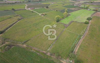 Çanakkale Yenice Hamdibey Köyünde 4.100 M² Satılık Tarla !