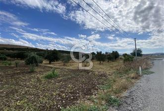 MENEMEN BURUNCUKTA MÜSTAKİL TAPULU 5500 m2 tarla