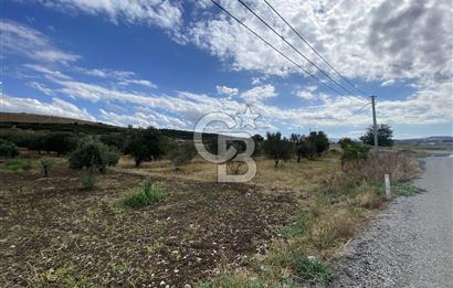 MENEMEN BURUNCUKTA MÜSTAKİL TAPULU 5500 m2 tarla
