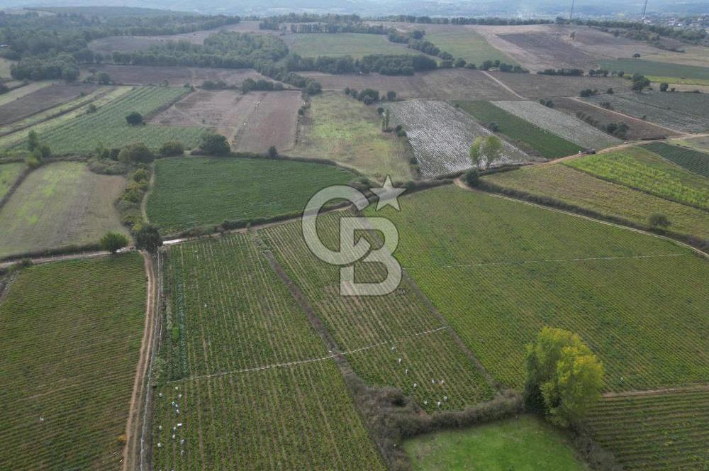 Çanakkale Yenice Hamdibey Köyünde 4.100 M² Satılık Tarla !