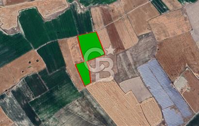 YUKARITANDIR’DA ELEKTRİK VE SUYU HAZIR 16.900 M² TARLA