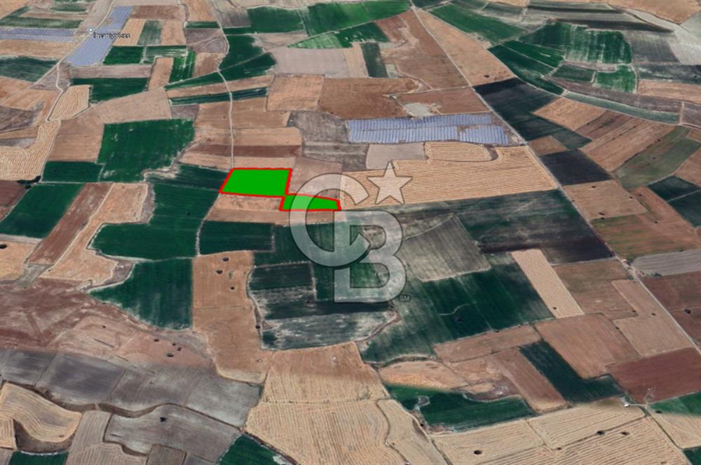 YUKARITANDIR’DA ELEKTRİK VE SUYU HAZIR 16.900 M² TARLA