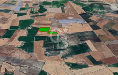 YUKARITANDIR’DA ELEKTRİK VE SUYU HAZIR 16.900 M² TARLA