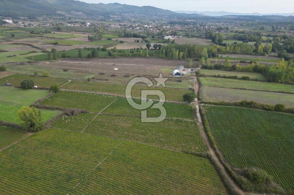 Çanakkale Yenice Hamdibey Köyünde 4.100 M² Satılık Tarla !