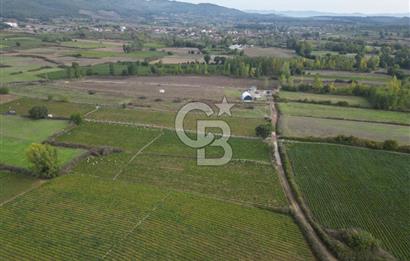 Çanakkale Yenice Hamdibey Köyünde 4.100 M² Satılık Tarla !
