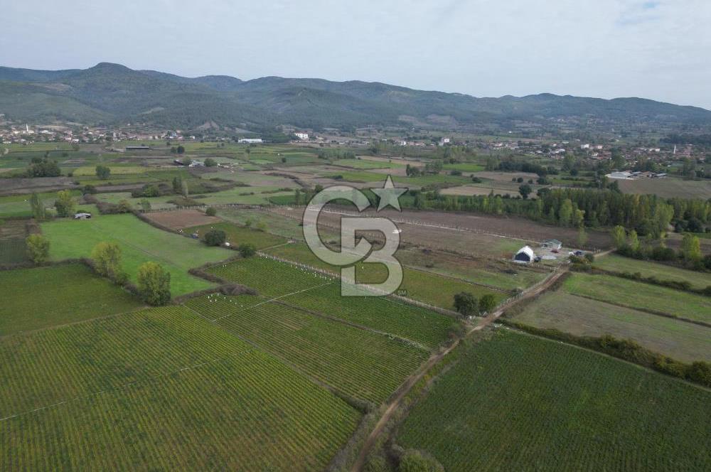 Çanakkale Yenice Hamdibey Köyünde 4.100 M² Satılık Tarla !
