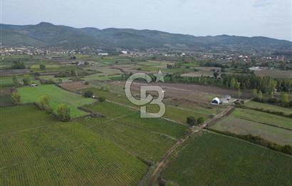 Çanakkale Yenice Hamdibey Köyünde 4.100 M² Satılık Tarla !
