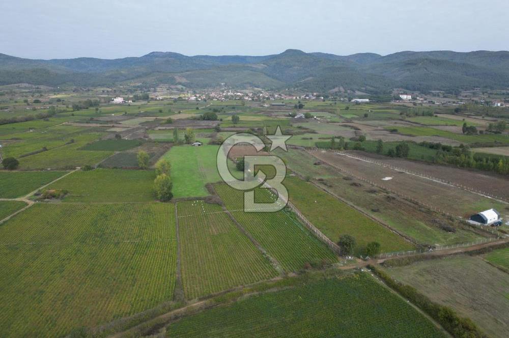 Çanakkale Yenice Hamdibey Köyünde 4.100 M² Satılık Tarla !