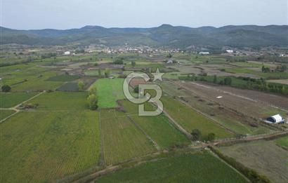 Çanakkale Yenice Hamdibey Köyünde 4.100 M² Satılık Tarla !