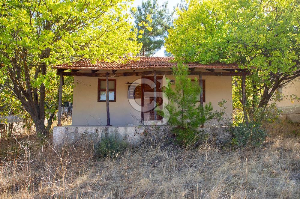 İzmir Bergama Zeytindağ'da Satılık 2 Adet Dağ Evi ve Tarla