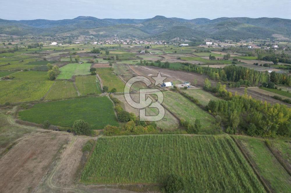 Çanakkale Yenice Hamdibey Köyünde 3.524 M² Satılık Tarla !