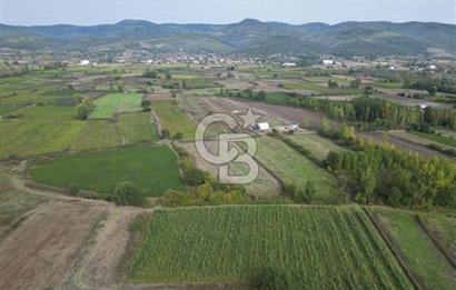Çanakkale Yenice Hamdibey Köyünde 3.524 M² Satılık Tarla !