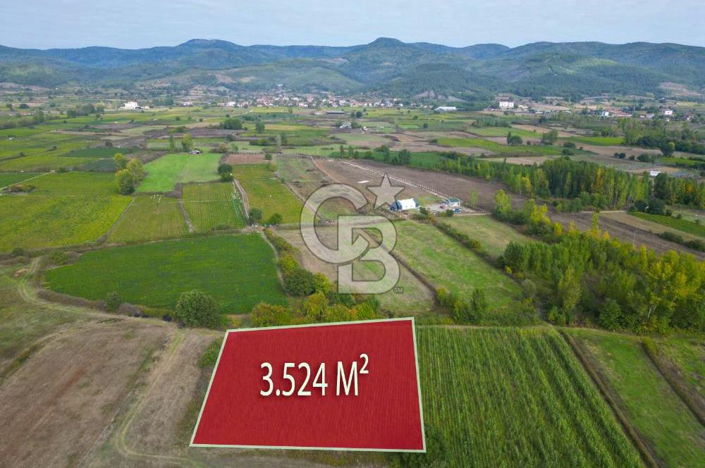 Çanakkale Yenice Hamdibey Köyünde 3.524 M² Satılık Tarla !