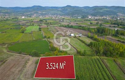 Çanakkale Yenice Hamdibey Köyünde 3.524 M² Satılık Tarla !