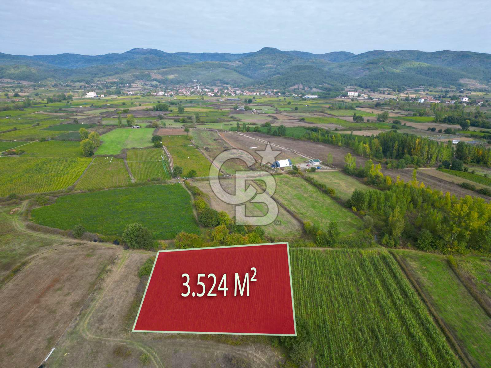 Çanakkale Yenice Hamdibey Köyünde 3.524 M² Satılık Tarla !