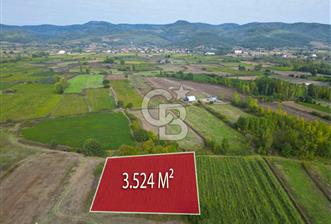 Çanakkale Yenice Hamdibey Köyünde 3.524 M² Satılık Tarla !