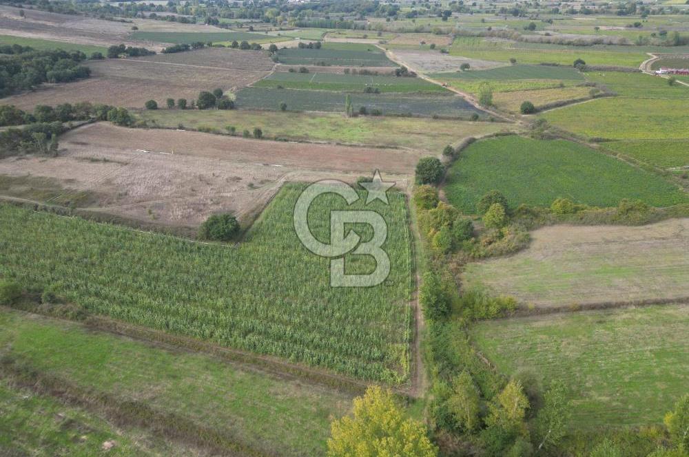 Çanakkale Yenice Hamdibey Köyünde 3.524 M² Satılık Tarla !
