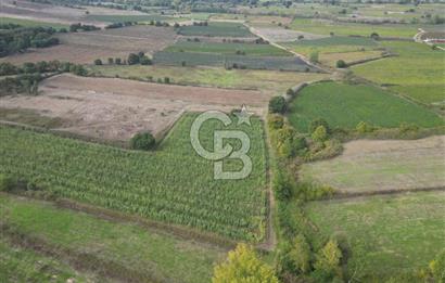 Çanakkale Yenice Hamdibey Köyünde 3.524 M² Satılık Tarla !