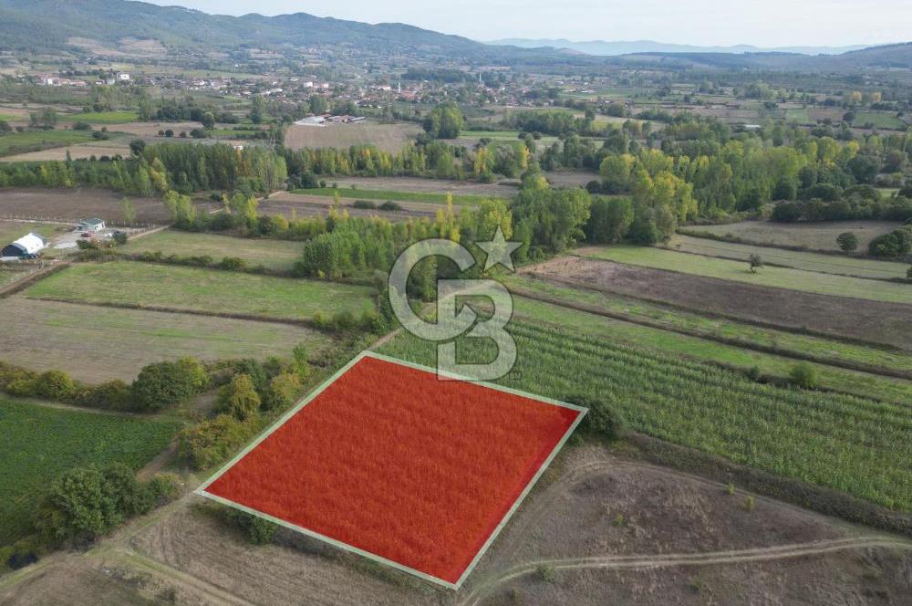 Çanakkale Yenice Hamdibey Köyünde 3.524 M² Satılık Tarla !