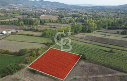 Çanakkale Yenice Hamdibey Köyünde 3.524 M² Satılık Tarla !