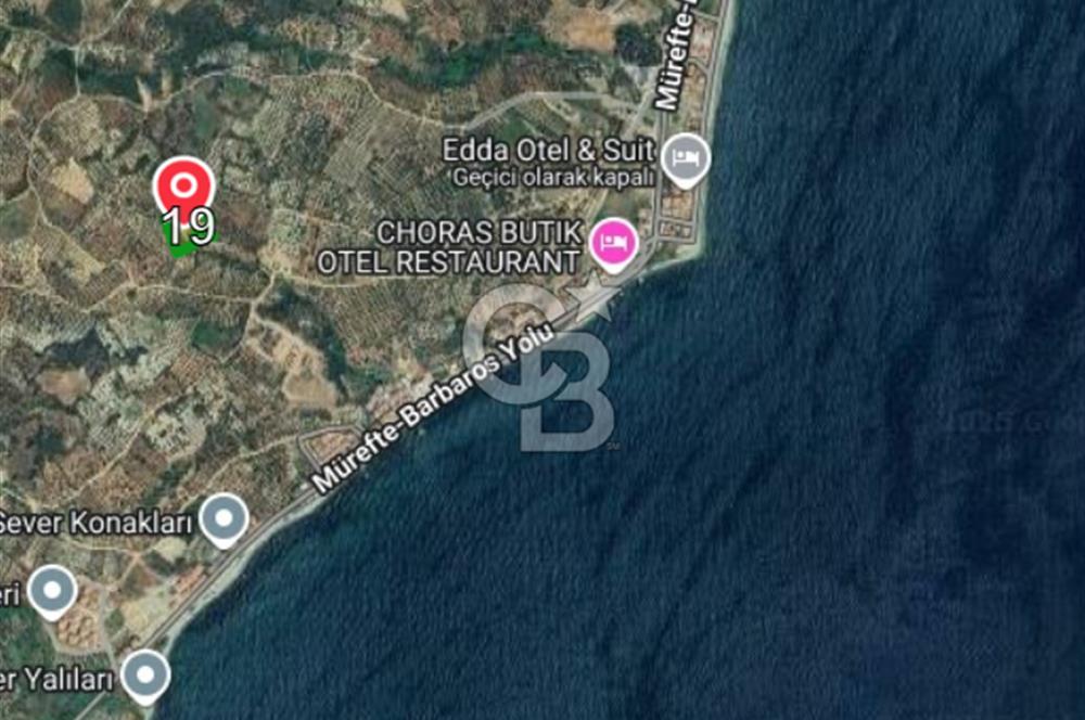 Tekirdağ Şarköy Hoşköy’de Deniz Manzaralı Önü Kapanmayacak Zeytinlik