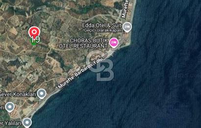 Tekirdağ Şarköy Hoşköy’de Deniz Manzaralı Önü Kapanmayacak Zeytinlik