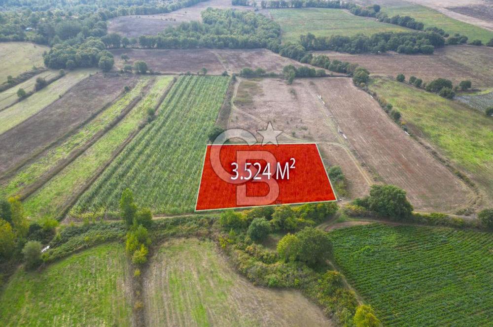 Çanakkale Yenice Hamdibey Köyünde 3.524 M² Satılık Tarla !