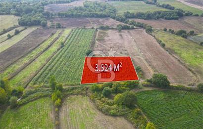 Çanakkale Yenice Hamdibey Köyünde 3.524 M² Satılık Tarla !