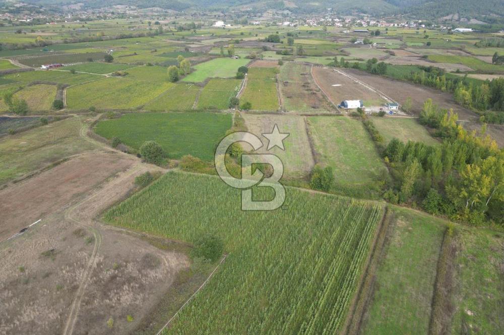 Çanakkale Yenice Hamdibey Köyünde 3.524 M² Satılık Tarla !