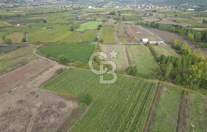 Çanakkale Yenice Hamdibey Köyünde 3.524 M² Satılık Tarla !