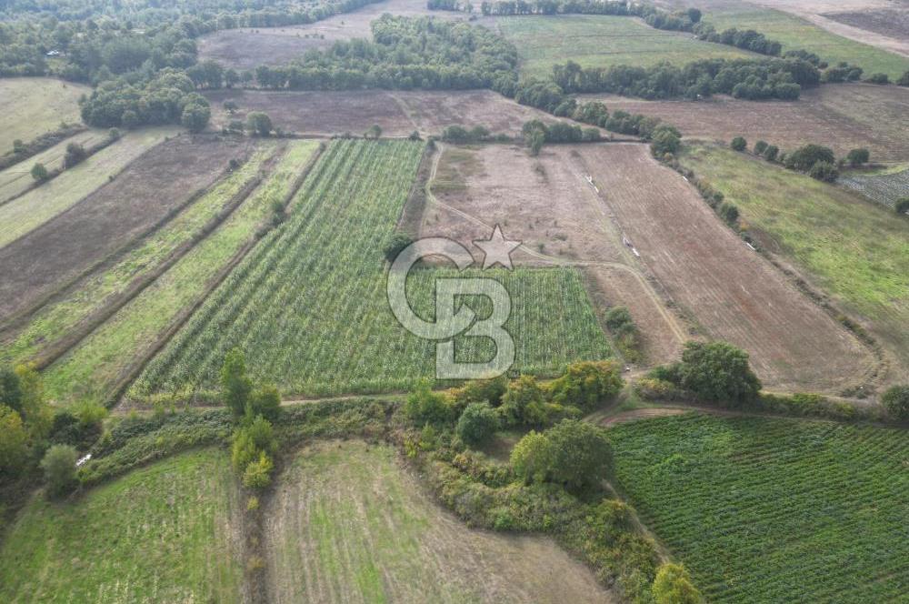 Çanakkale Yenice Hamdibey Köyünde 3.524 M² Satılık Tarla !