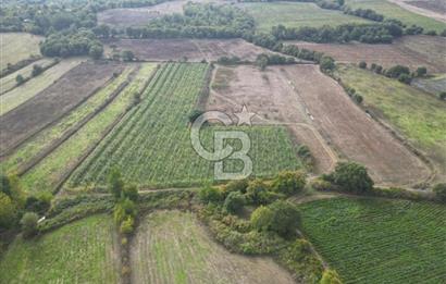 Çanakkale Yenice Hamdibey Köyünde 3.524 M² Satılık Tarla !