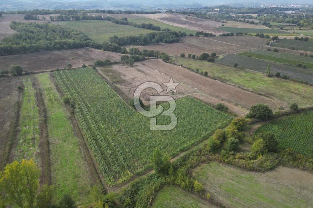 Çanakkale Yenice Hamdibey Köyünde 3.524 M² Satılık Tarla !