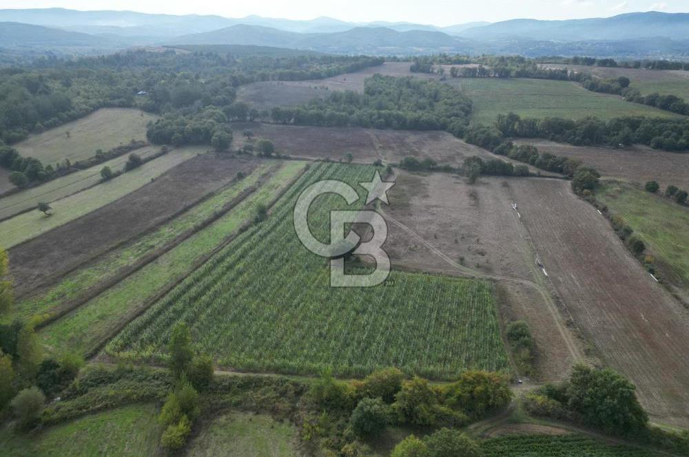 Çanakkale Yenice Hamdibey Köyünde 3.524 M² Satılık Tarla !