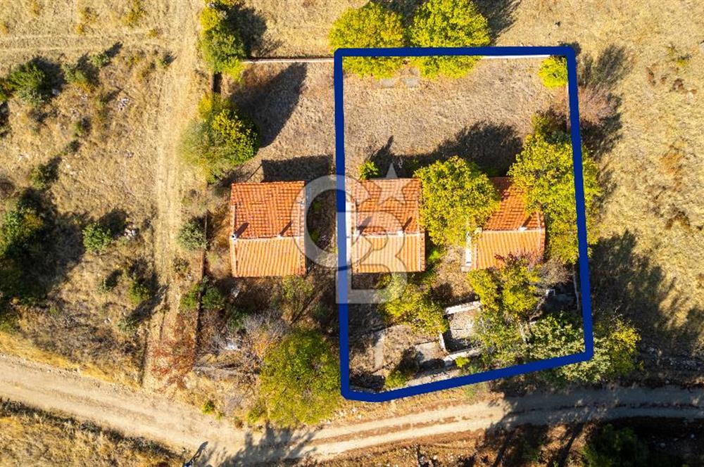 İzmir Bergama Zeytindağ'da Satılık 2 Adet Dağ Evi ve Tarla