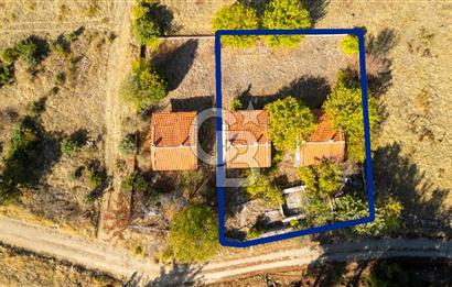 İzmir Bergama Zeytindağ'da Satılık 2 Adet Dağ Evi ve Tarla