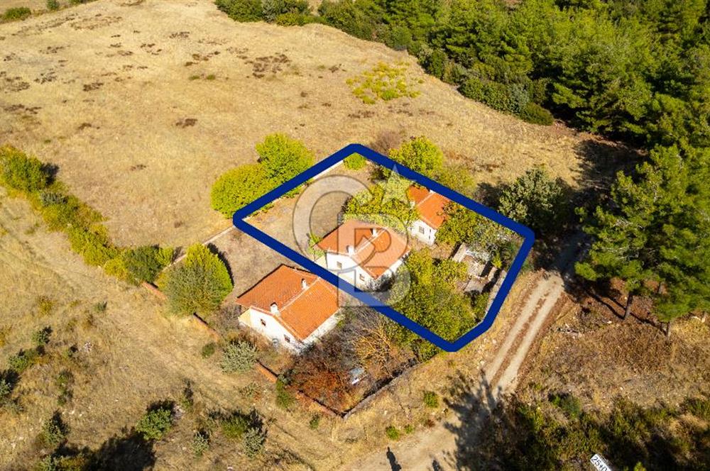 İzmir Bergama Zeytindağ'da Satılık 2 Adet Dağ Evi ve Tarla