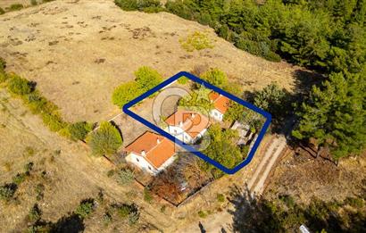 İzmir Bergama Zeytindağ'da Satılık 2 Adet Dağ Evi ve Tarla